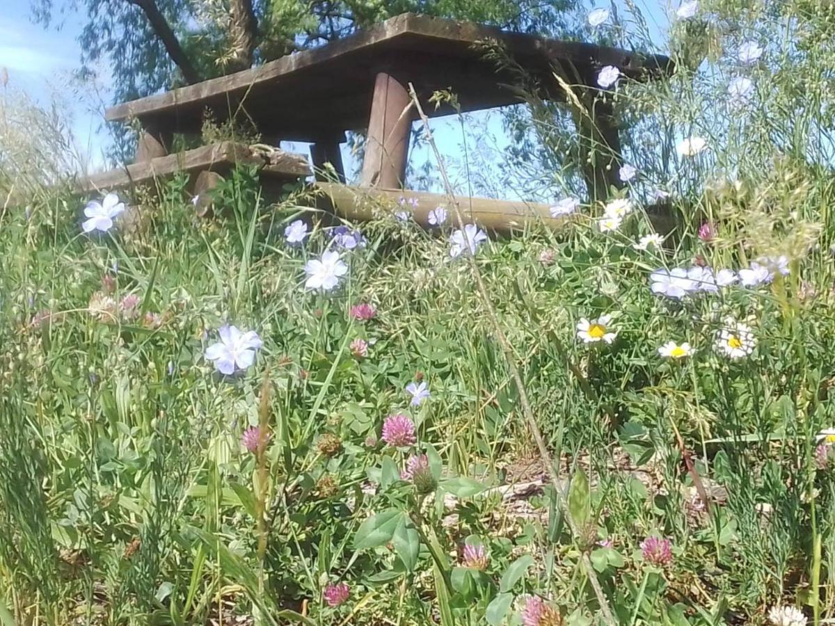 Casa Appartamento Vacanze La Fermata Delle Rondini Castello di Annone Eksteriør bilde
